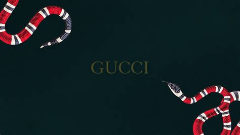 gucci clothes wallpaper|Gucci wallpaper for laptop.